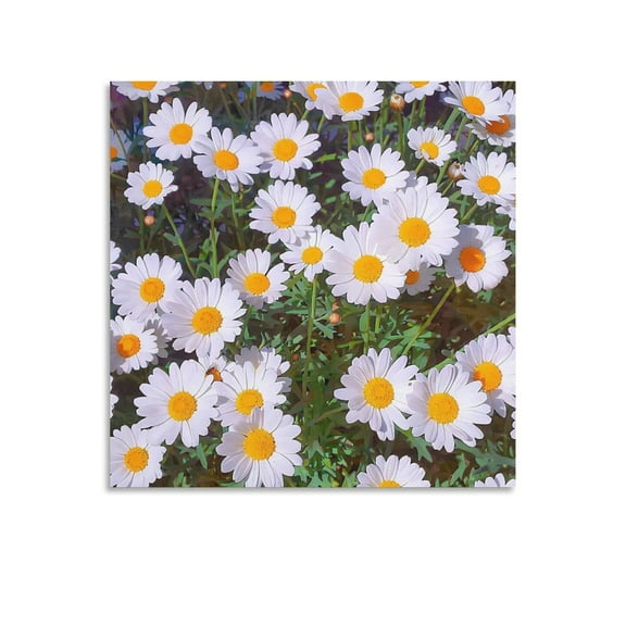 Chrysanthemum Art Poster (18) Posters Art Print Wall Photo Paint Poster Hanging Picture Family Bedroom Decor Gift 24x24inch(60x60cm)