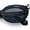 All Black, variant on Womens Fun Devil Horn Jewel Oval Mod Fashion Plastic Sunglasses [All Black]