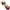 Beige, variant on Lisbinx Women Bras 5pc Woman's Comfortable Lace Breathable Bra Underwear No Rims Holiday Deals