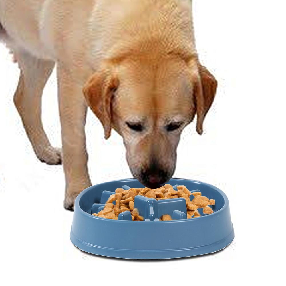 Ibaste Dog Slow Feeders Dog Food Bowls Slow Food Bowl Dog Anti-Gulping Pet Slower Food Feeding Bowls Stop Bloat Preventing Choking Healthy Design Dogs Bowl unusual - Walmart.com ibaste-dog-slow-feeders-dog-food-bowls-slow-food-bowl-dog-anti-gulping-pet-slower-food-feeding-bowls-stop-bloat-preventing-choking-healthy-design-dogs-bowl-unusual-walmart-com