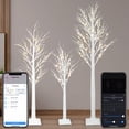 thumbnail image 1 of Árbol de abedul LED Aoycocr Smart con control de aplicaciones, 18 modos, 4/5/6 pies, 1 of 5