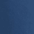 Insignia Blue