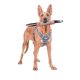 thumbnail image 2 of Juguete para perros de yute para morder, juguete para perros con 2 asas, juguete de cuerda interactivo para perros grandes/medianos JM, 2 of 5