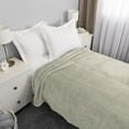 thumbnail image 2 of Jacquard Velvet Touch Blanket, Green 66" x 96", 2 of 5