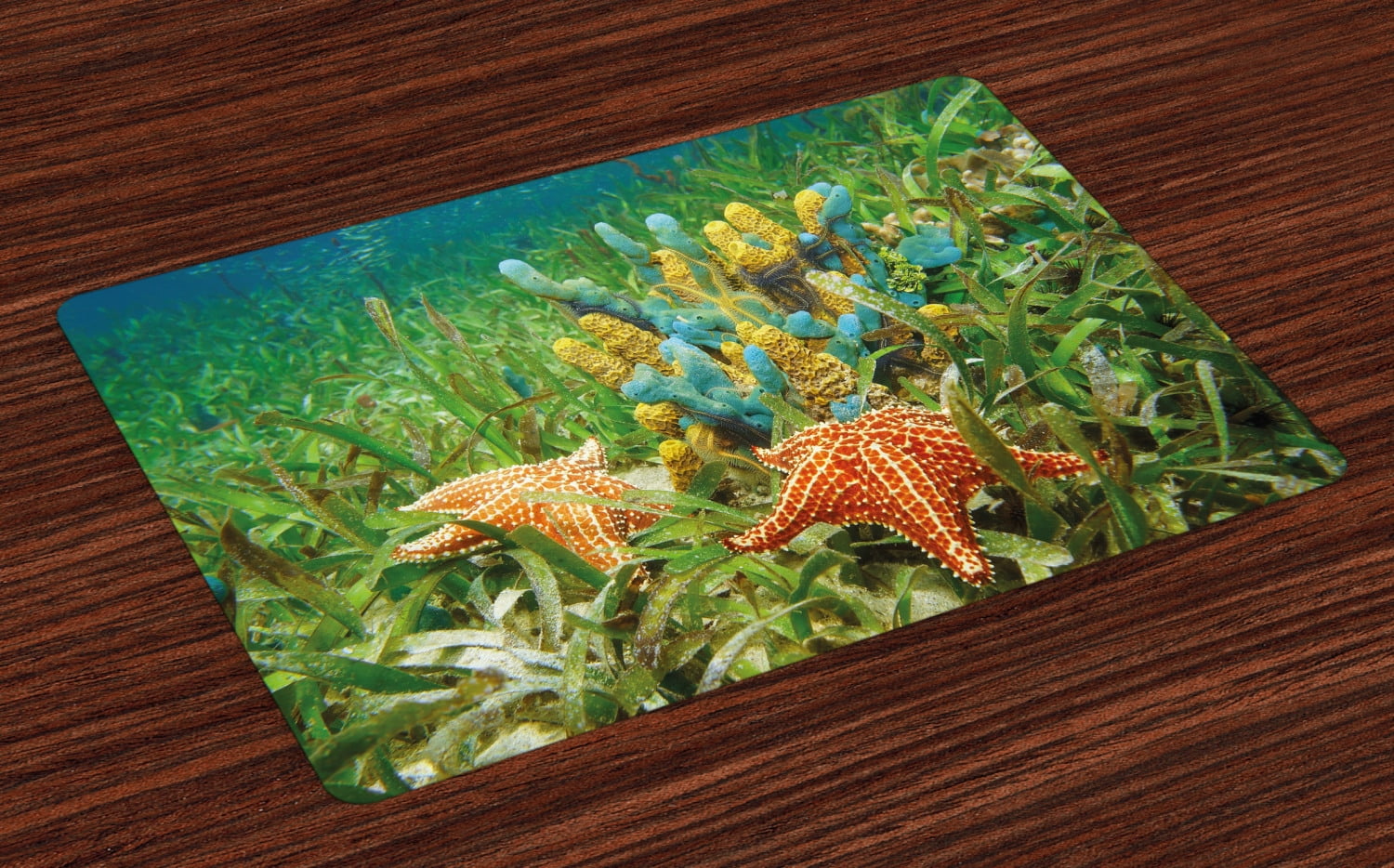 Starfish Placemats Set of 4 Underwater Marine Life with Colorful