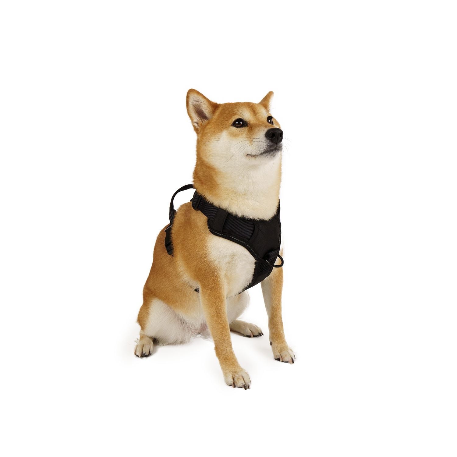 Harnais pour chien One Paw, avec maille collée et coutures réfléchissantes, disponible en plusieurs tailles couleurs.