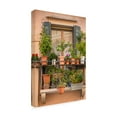 thumbnail image 2 of Laura DeNardo 'Italian Window Flowers III' Canvas Art, 2 of 3