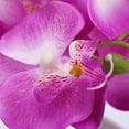 thumbnail image 3 of Artificial Purple Phalaenopsis Orchid Flower Arrangement in Sallow white Vase. Made with Lifelike silk and real looking Plastic Stems. Makes a great Decoration for Home, Office, or Wedding. (2 Pack), 3 of 5