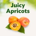 thumbnail image 5 of (2 pack) Del Monte Lite Apricot Halves, Canned Fruit, 15 oz Can, 5 of 7
