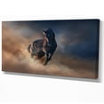 thumbnail image 1 of Designart - Black stallion horse - Animals photographyPrint on Wrapped Canvas, 1 of 2