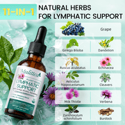 Lymphatic Support Drops, 11-In-1 Organic Lymphatic Cleanse for Immune Support & Liver Health,2 fl oz