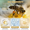 thumbnail image 5 of Anti-Wrinkle Firming Cream with Bee Venom, Moisturizing & Lifting for All Skin Types, 5 of 5