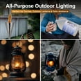thumbnail image 6 of Firefly Fuel Smokeless Odorless Eco-Friendly Clear Clean with Citronella Lamp Oil, 1 Gal, 6 of 8