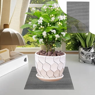 hyacinth bean plant seeds Hyacinth Bean Ruby Moon Seed