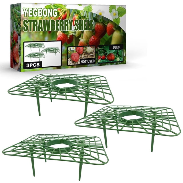 Strawberry Plant Stand 3Pcs Plastic Strawberry Supports Sturdy Strawberry Support Frame Stable Strawberry Growing Rack for Home Balcony Courtyard Garden Potted Plant