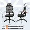 thumbnail image 2 of NEWTRAL High Back Ergonomic Office Mesh Desk Chair with Armrest & Tiltable Lumbar Support, 300lb Loading Capacity, Black, 2 of 9