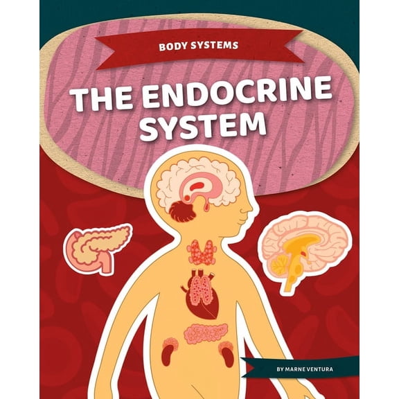 Body Systems Endocrine System, (Hardcover)