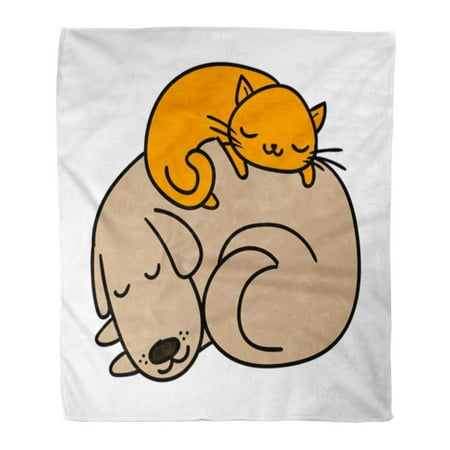 ASHLEIGH 50x60 inch Super Soft Throw Blanket Cute Sleeping Dog and Cat Best Friends Adorable Cartoon Couple Drawing Home Decorative Flannel Velvet Plush