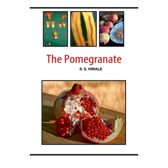 The Pomegranate (Paperback)