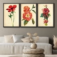thumbnail image 2 of PixonSign Framed Wall Art Print Set Vintage Watercolor Red Rose Variety Floral Wilderness Illustrations Modern Art Glam Colorful Multicolor Cool for Living Room, Bedroom, Office - 24"x36"x3 Black, 2 of 5