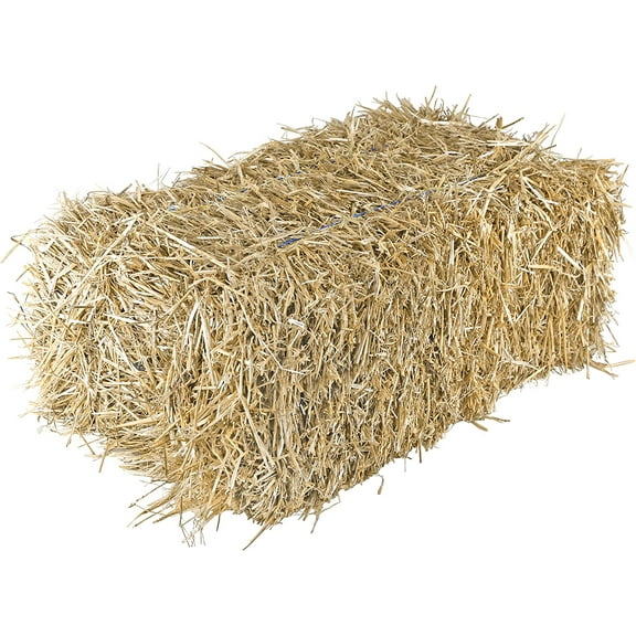 Straw Bale by Shady Creek Farm, Multi-Use for Farm & Home, Large Straw Bale, 36"
