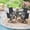 Black-Graphite, variant on Vicllax 5-Piece Outdoor Patio Dining Set, 41-Inch Round Outdoor Table with Umbrella Hole and 4 Swivel Patio Chairs, Outdoor Furniture for Backyard, Garden, Deck & Porch