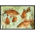 thumbnail image 1 of Carolines Treasures 8983JMAT Poissons Rouges Nage Tapis Intérieur Ou Extérieur- 24 x 36 Po., 1 of 4