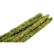 Decorative Mossy Sticks (18in)