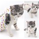 thumbnail image 4 of Traje de esterilización/castración para gatos, modelo impreso, traje postoperatorio para gatos, ropa para destete, ropa transpirable para mascotas, 1 Uds., 4 of 5