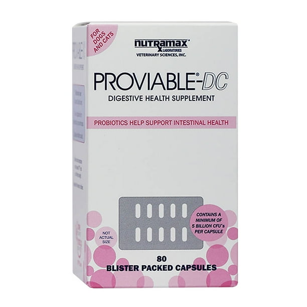 Nutramax ProviableDC Digestive Health Supplement for Dogs & Cats, 80