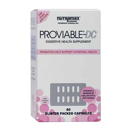 Nutramax Proviable-DC Capsules Dog & Cat Supplement, 80