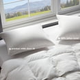 thumbnail image 3 of Set de 2 almohadas Globon Ultra Soft Down 51 x 66 cm, 3 of 7
