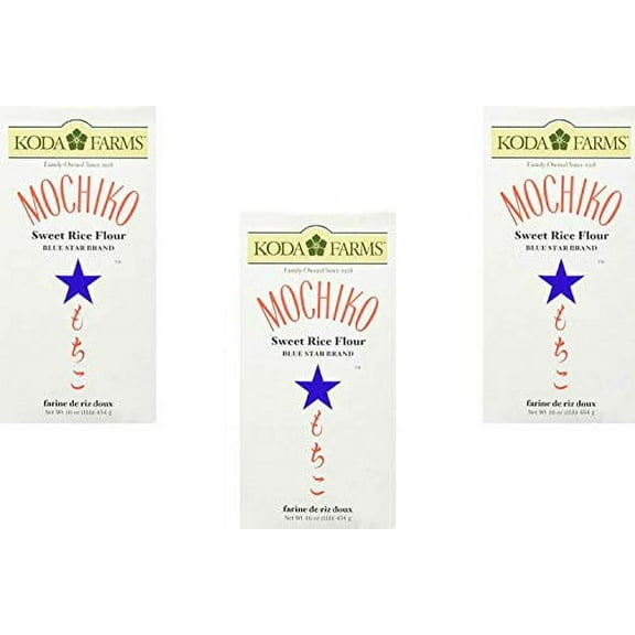 NineChef Bundle - Mochiko (Sweet Rice Flour) - 16oz [Pack of 1] (3 Pack)   1 NineChef Brand Long Handle Spoon