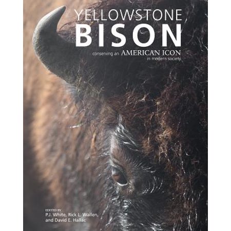 Yellowstone Bison - eBook (Best Time To See Bison In Yellowstone)