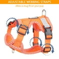 thumbnail image 3 of Luxtrada Dog Harness and Leash No Choke Reflective Pet Vest Adjustable Breathable Mesh Harnesses with Leash for Small Medium Dogs Cats Walking (Orange,L), 3 of 9