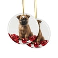 thumbnail image 2 of DistinctInk Hanging Ceramic Christmas Tree Ornament with Gold String - Great Gift/Present - 2 3/4 inch Diameter - Cairn Terrier Puppy Design, 2 of 3