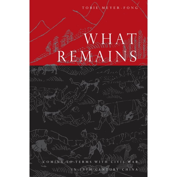 What Remains: Coming to Terms with Civil War in 19th Century China, (Hardcover)