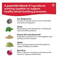 thumbnail image 4 of LifeSeasons - Blood Nourish-R - Suplemento de hierro - 60 Cápsulas de hierro, alfalfa, frambuesa y vitamina B-12, 4 of 5