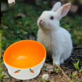 thumbnail image 2 of thinsony Non Slip Rabbit Feeder Bowl Feeding Basin for Hedgehog Gerbils Puppy Kitten 8.5cmx6.5cm, 2 of 9