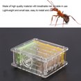 thumbnail image 4 of Ferme de Fourmis, Cadeau Durable pour Alimentation de Fourmis, 4 of 7