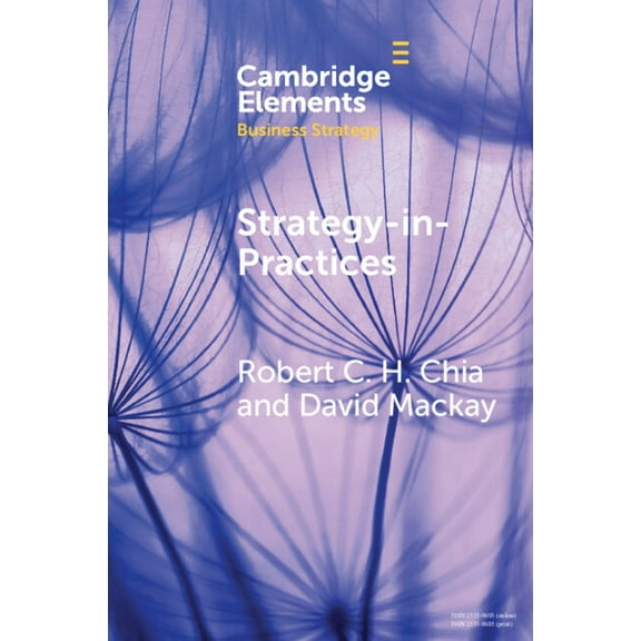 Elements in Business Strategy Strategy-In-Practices: A Process-Philosophical Perspective on Strategy-Making, (Paperback)