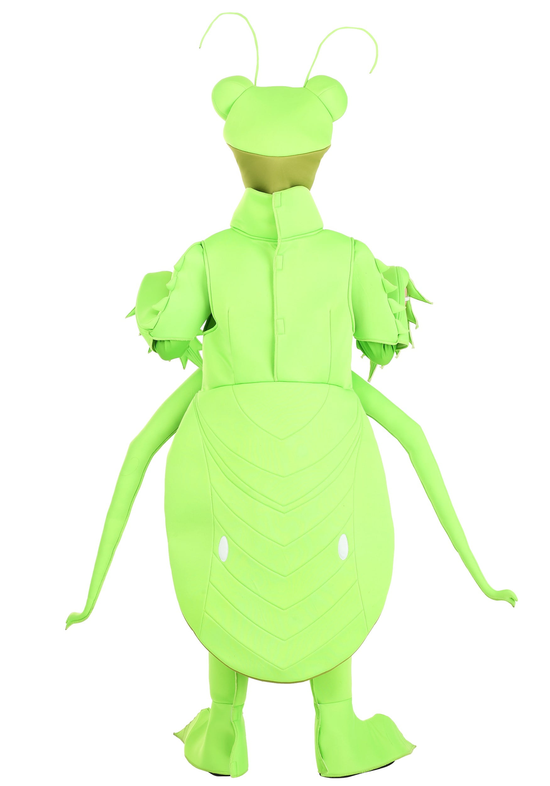 Praying Mantis Kid's Costume - Walmart.com