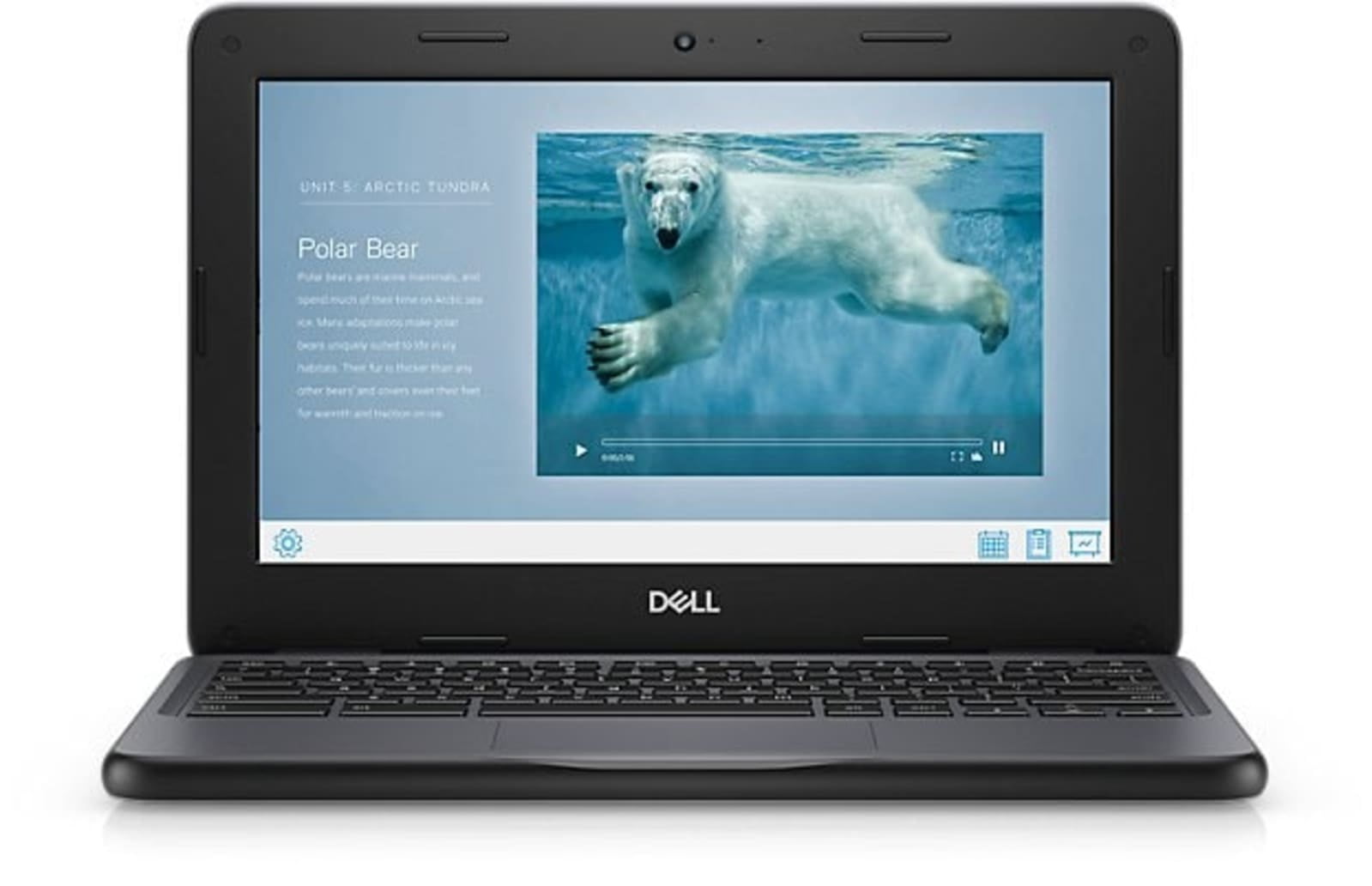 Open Box Dell Chromebook 3100 Laptop | 11.6" 1366x768 HD | Celeron - N4000 - 16GB SSD Hard Drive - 4GB RAM | 2 cores @ 2.6 GHz Chrome OS Black
