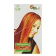 thumbnail image 2 of Ibg Permanent Hair Color, 2 of 8
