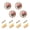 Bouquet Flowers Oil Painting, variant on WEIYEKO 4 Pack Kitchen Cabinet Knobs Round Zinc Drawer Pulls, Tiger in Flower Field
