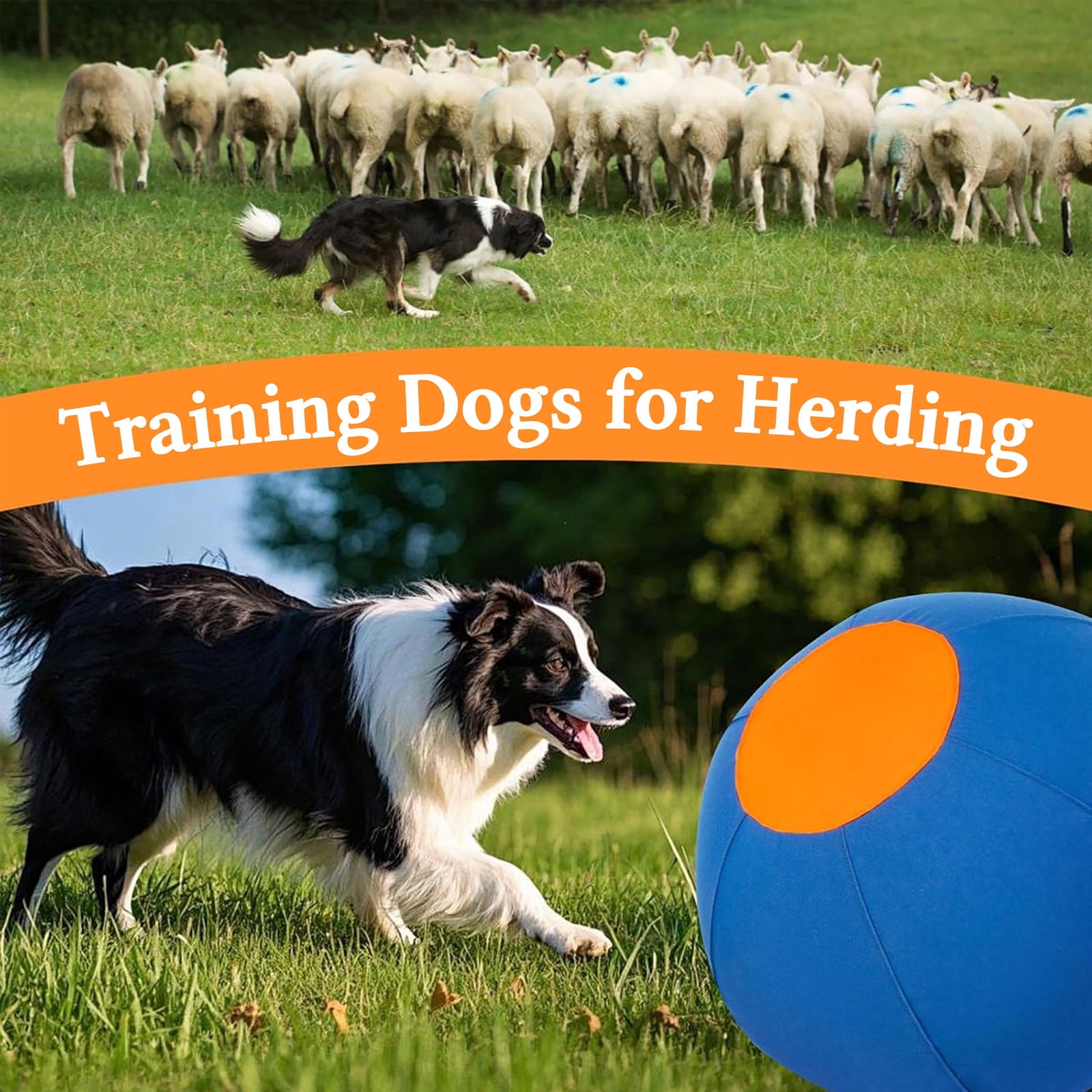 Interactive Dog Toys Dog Soccer Ball to Keep Them Busy,Durable Automatic Moving Jumping Dog Balls, Dog Agility Equipment, Available in Four Sizes to Suit All Dogs