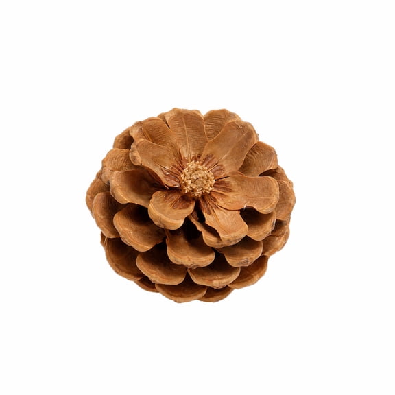 Pine Cones, Natural Dried Flower Petals Rustic Decorative Bowl Fillers for Holiday Wreath DIY Projects, Wedding Decor, Table Centerpieces Brown