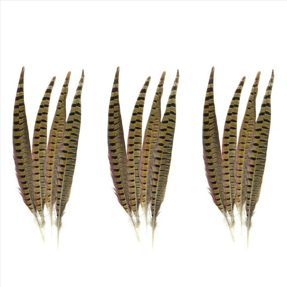 Touch of Nature Ringneck Pheasant Feathers 12/Pcs, Natural