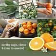 thumbnail image 3 of Yankee Candle Paper Car Jar, Sage & Citrus (Pack of 6), 3 of 4
