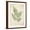 Brown Frame, variant on Art.com Vintage Ferns IX Art Print by Hugo Wild, 12" x 16"